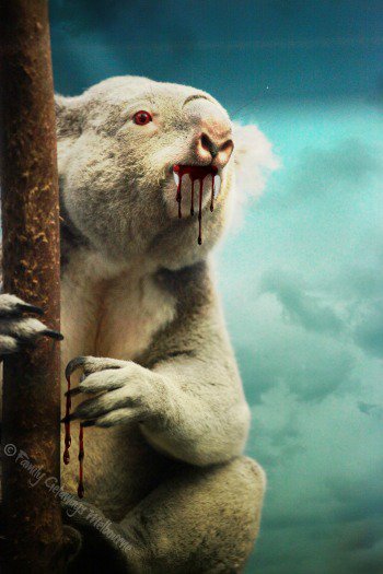 How Australia's drop bear came to be its most deadly -- and most fake --  predator